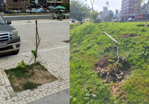 8b8c678c-4471-4312-b7fc-2624ac5e11da